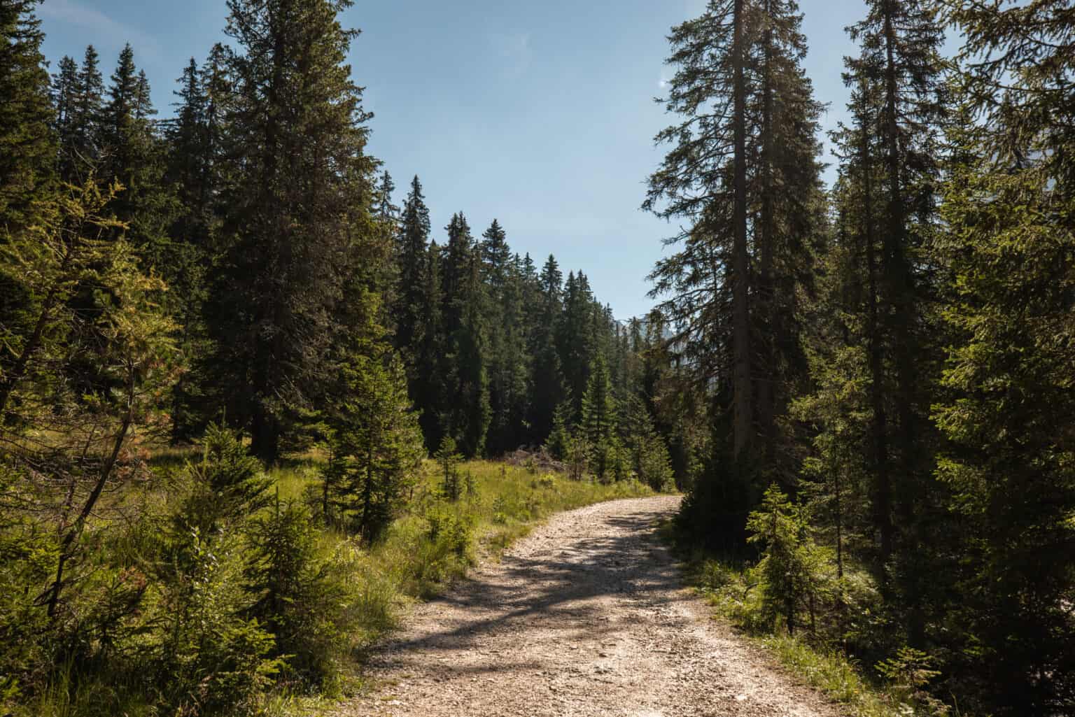 Geisel Aumalen Geisler Alm: A Complete Guide to Visiting