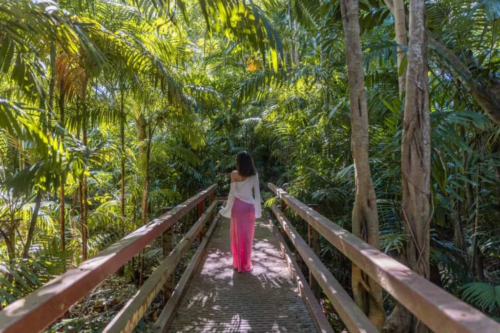 A woman in a pink skirt walks alone along a wooden boardwalk surrounded by lush tropical rainforest, dappled with sunlight filtering through the dense canopy.