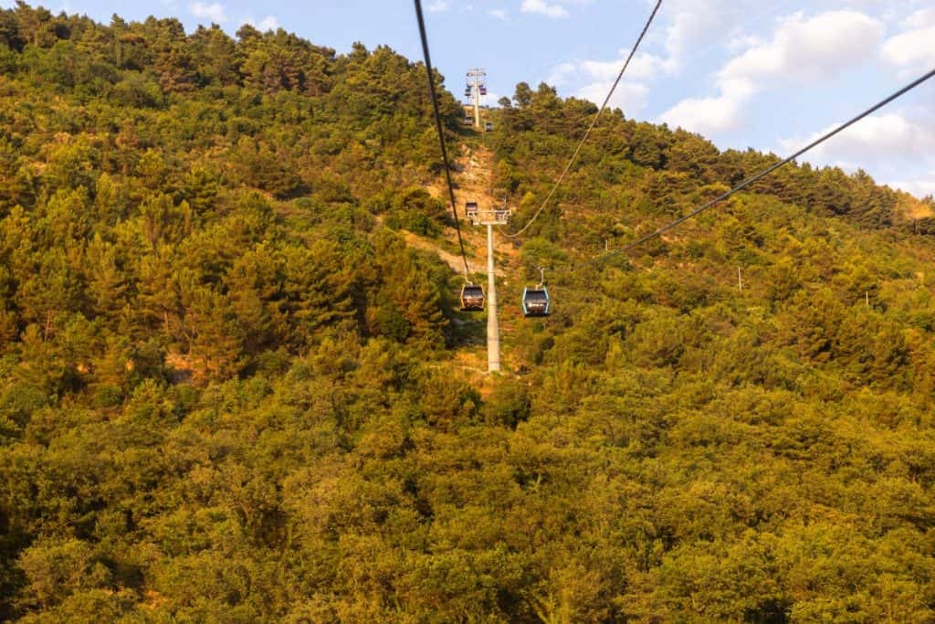 Cable cars suspended over a densely forested mountain, captured during golden hour with warm sunlight highlighting the greenery and the cables stretching into the distance.
