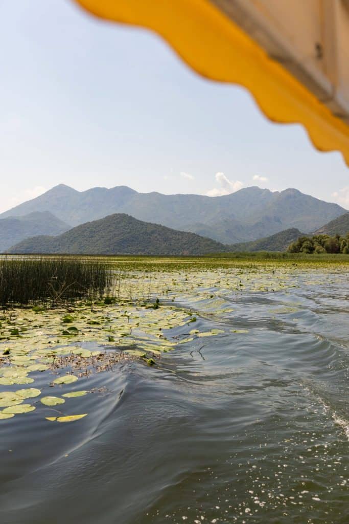 Scenic view from a boat gliding through a lake filled with lily pads, with rippling water trailing behind. Green mountains rise in the background under a sunny, cloud-dotted sky, partially framed by a yellow canopy.