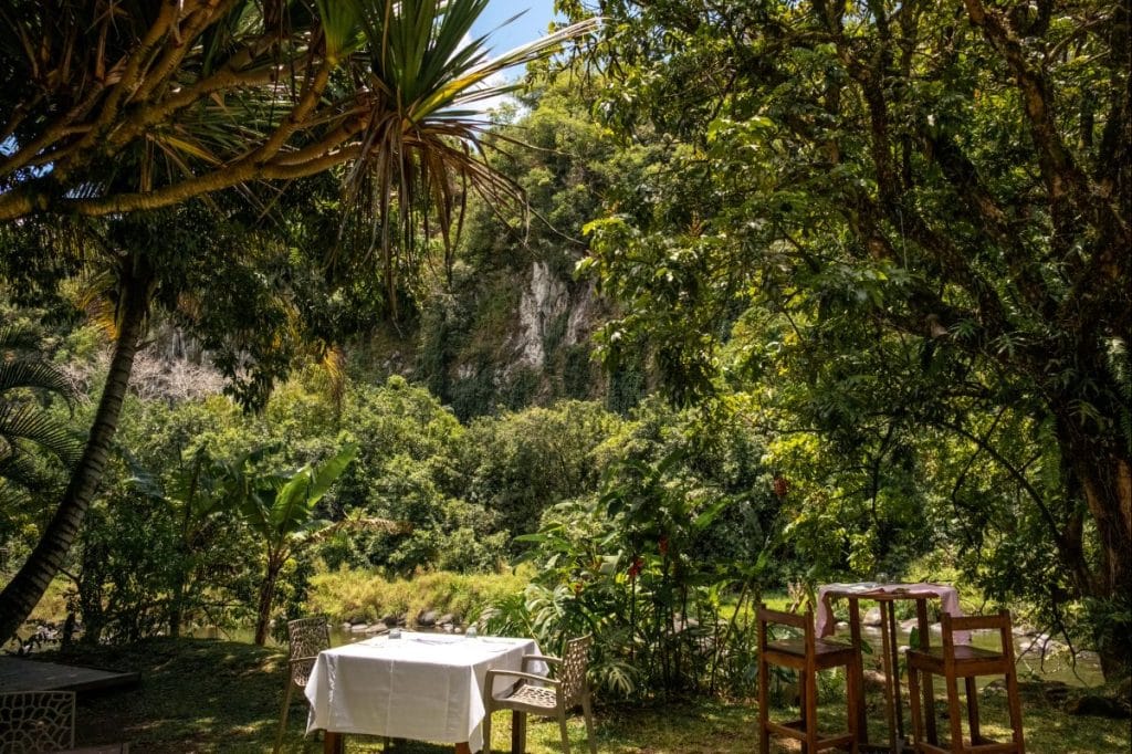 Outdoor dining area set in a lush tropical garden, with two tables under the shade of tall trees and a dramatic cliff covered in greenery in the background.