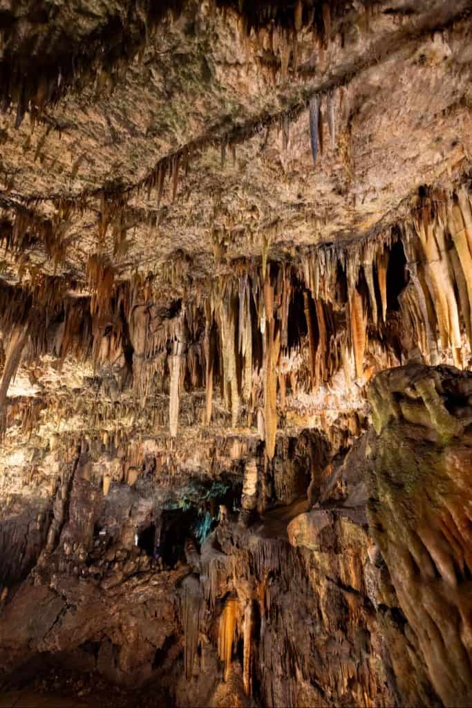 Vertical view inside Drogarati Cave in Kefalonia, Greece, highlighting sharp, elongated stalactites hanging from the ceiling in rich amber and ochre tones. The dramatic lighting emphasizes the intricate texture of the cave’s limestone formations.