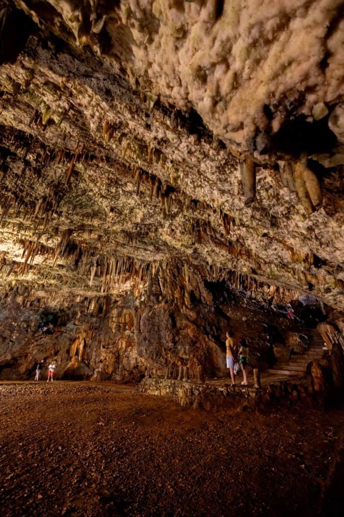 Wide-angle interior of Drogarati Cave featuring a rugged ceiling covered in dense stalactites and visitors exploring along a dirt path and stone steps. The massive scale of the cave is emphasized by the small human figures beneath its textured roof.