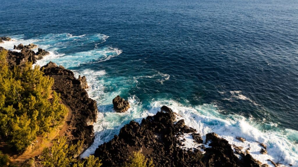 Aerial view of rugged black volcanic cliffs on the coastline, with pine trees lining the edge and turquoise waves crashing against the rocks under the afternoon sun.