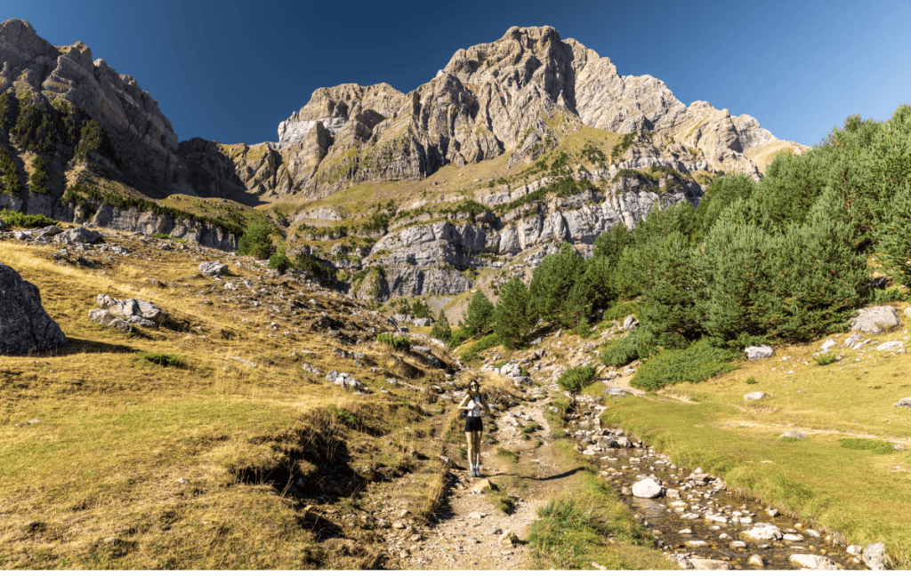 A hiker walks along a rocky trail beside a small stream in a sunlit alpine valley, surrounded by green pines and golden grass. Towering cliffs and rugged mountain peaks rise dramatically in the background under a clear blue sky.