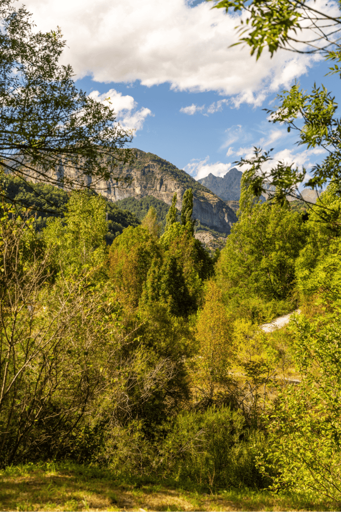 A lush forest scene framed by leafy branches reveals rocky cliffs and distant mountain peaks under a bright, partly cloudy sky, highlighting the area's natural beauty.