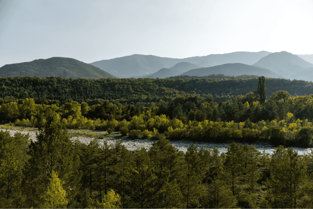 A wide river winds through a dense forest of mixed green trees, with layers of rolling hills and hazy mountain ridges fading into the distance under soft sunlight. The peaceful scene captures the natural beauty of an untouched landscape.