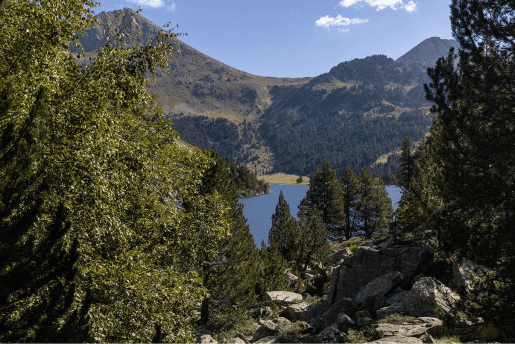 View through a forested area reveals a tranquil mountain lake surrounded by pine trees and rocky terrain, with tall peaks rising in the background under a clear sky. The scene captures the peacefulness and natural beauty of a remote alpine landscape.