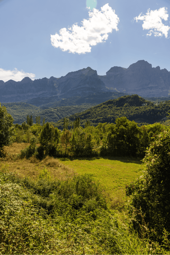 A sunlit meadow surrounded by dense green trees opens up to a dramatic view of distant mountain ridges under a clear blue sky with a few scattered clouds.