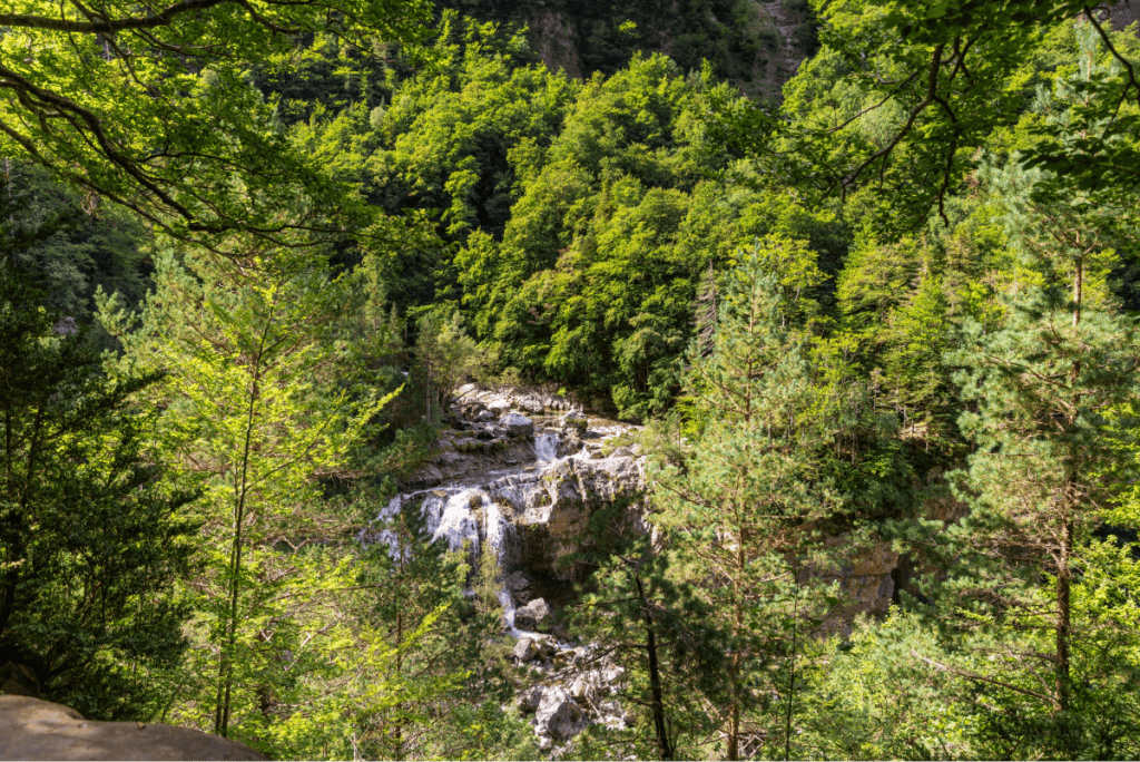 A cascading waterfall flows over rocky ledges deep within a dense forest, partially hidden by tall pine trees and vibrant green foliage. Sunlight filters through the canopy, highlighting the natural beauty of this secluded woodland scene.