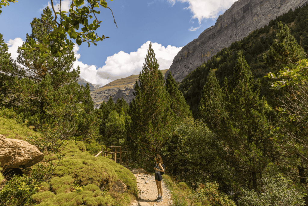 A woman stands on a narrow dirt trail surrounded by lush green forest and tall pine trees, with towering rocky cliffs rising in the background under a bright blue sky with scattered clouds. The scene captures the peacefulness and scale of a mountain hike through rugged natural terrain.
