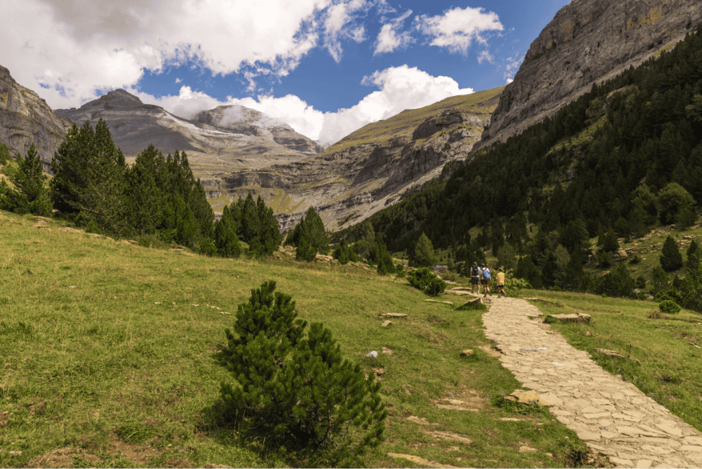 A group of hikers walks along a stone-paved trail through a wide, grassy valley surrounded by pine trees and steep mountain slopes. Towering, rocky peaks with patches of clouds dominate the background under a bright blue sky.